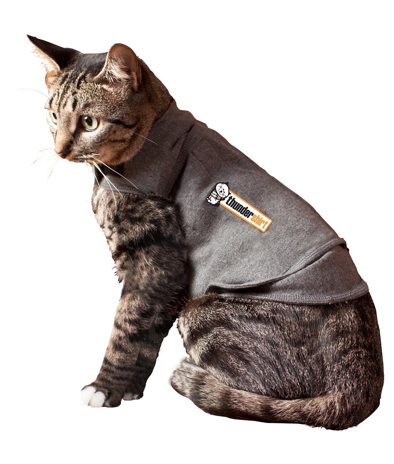 Thundershirt for Cats Small