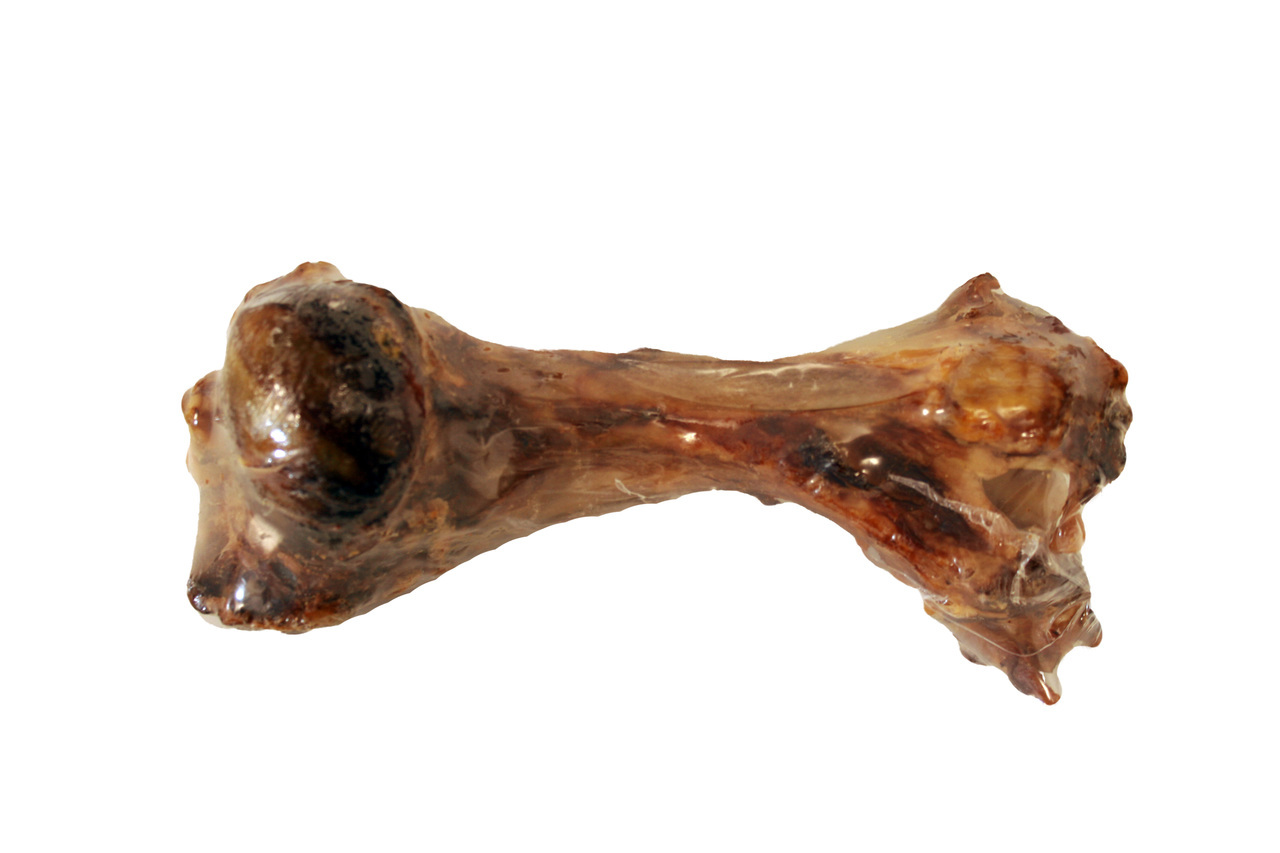 Beef Bone (huge around 30cm long)