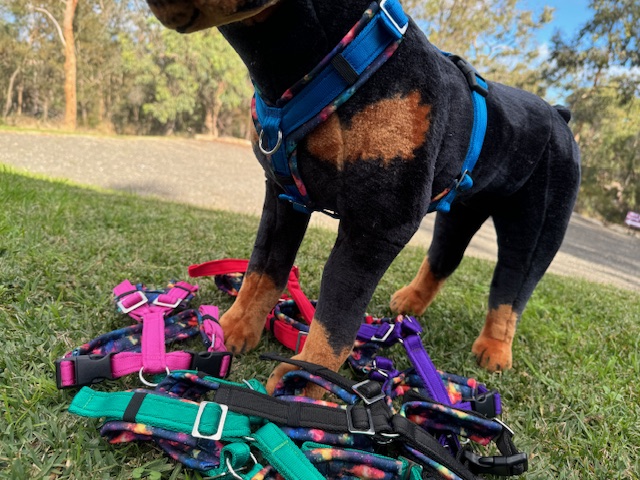 Vari-Fit Harness XL *Stainless Steel & Soft Shell* Vari-Fit Harness XL *Stainless Steel & Soft Shell*