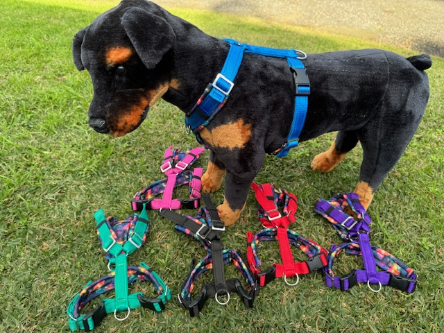 Vari-Fit Harness Small *Stainless Steel & Soft Shell* Vari-Fit Harness Small *Stainless Steel & Soft Shell*