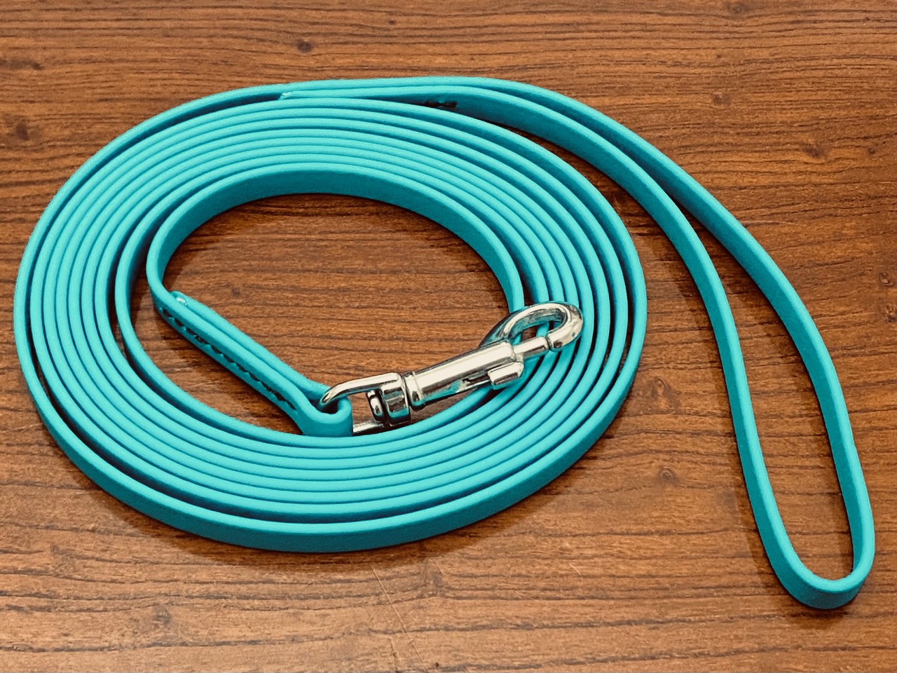 3m Teal Biothane Walking Lead - Small Stainless Steel Snap