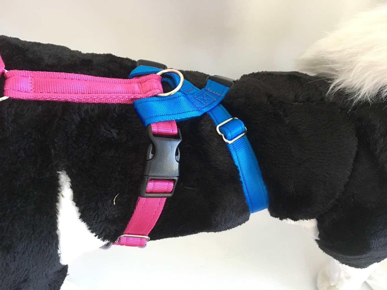 Houdini Strap for Harness Large (harness not included)