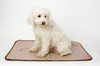 Connie Toilet Training Washable Pad (small)