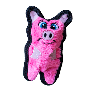 Invincible Mini Pig